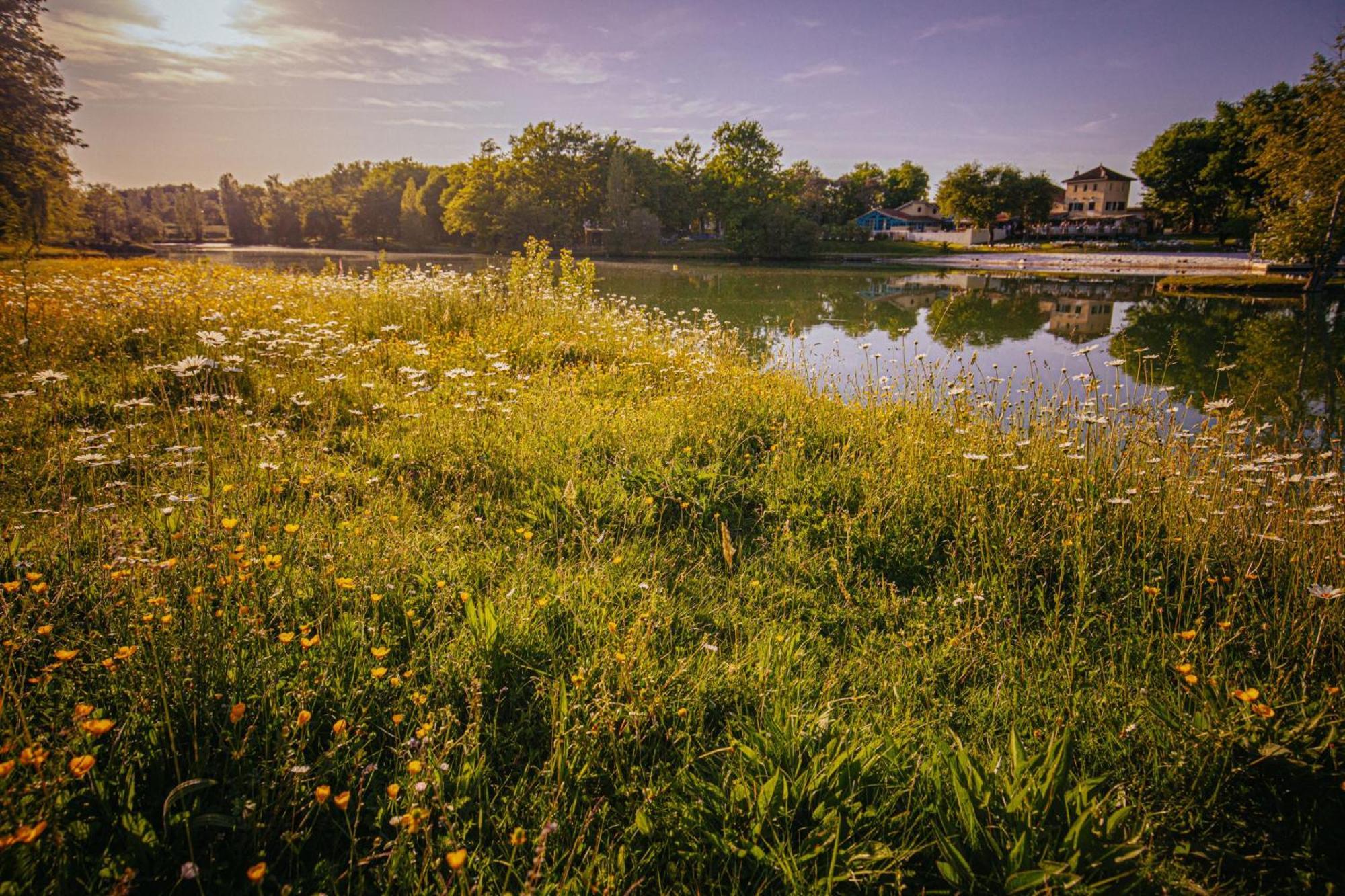 Le Domaine des Lacs de Gascogne Seissan Extérieur photo